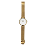 Aeternum Gold — Branco 32 mm